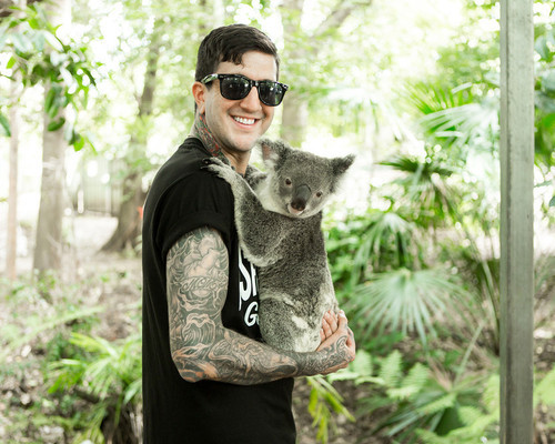 luckerstooomp:  koala time