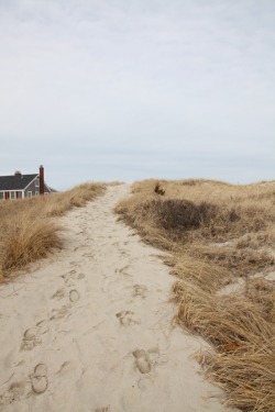 chadmcphail:Cape Cod beach (via)