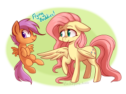 peachiepone:Flying Buddies!For the 30minchallenge !Been