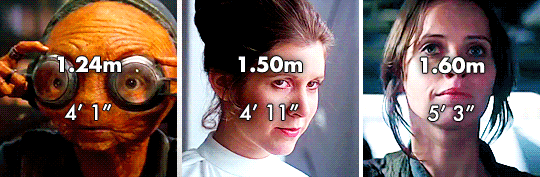 artoo-detoos: Star Wars + Heights* edit: *heights were taken from wookieepedia and