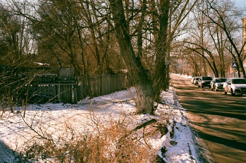 Sunny Winter Days Captured On Film