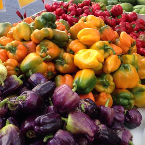 Real talk: you shouldn’t be cooking winter squash yet. It’s all that will be at market f