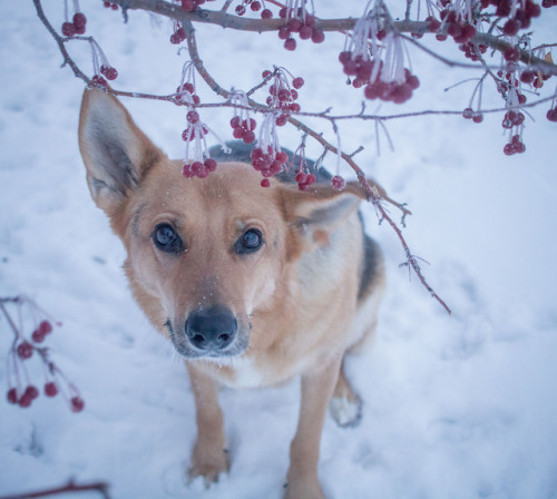 marloandmav-adventurers:Marlo and the cherry tree
