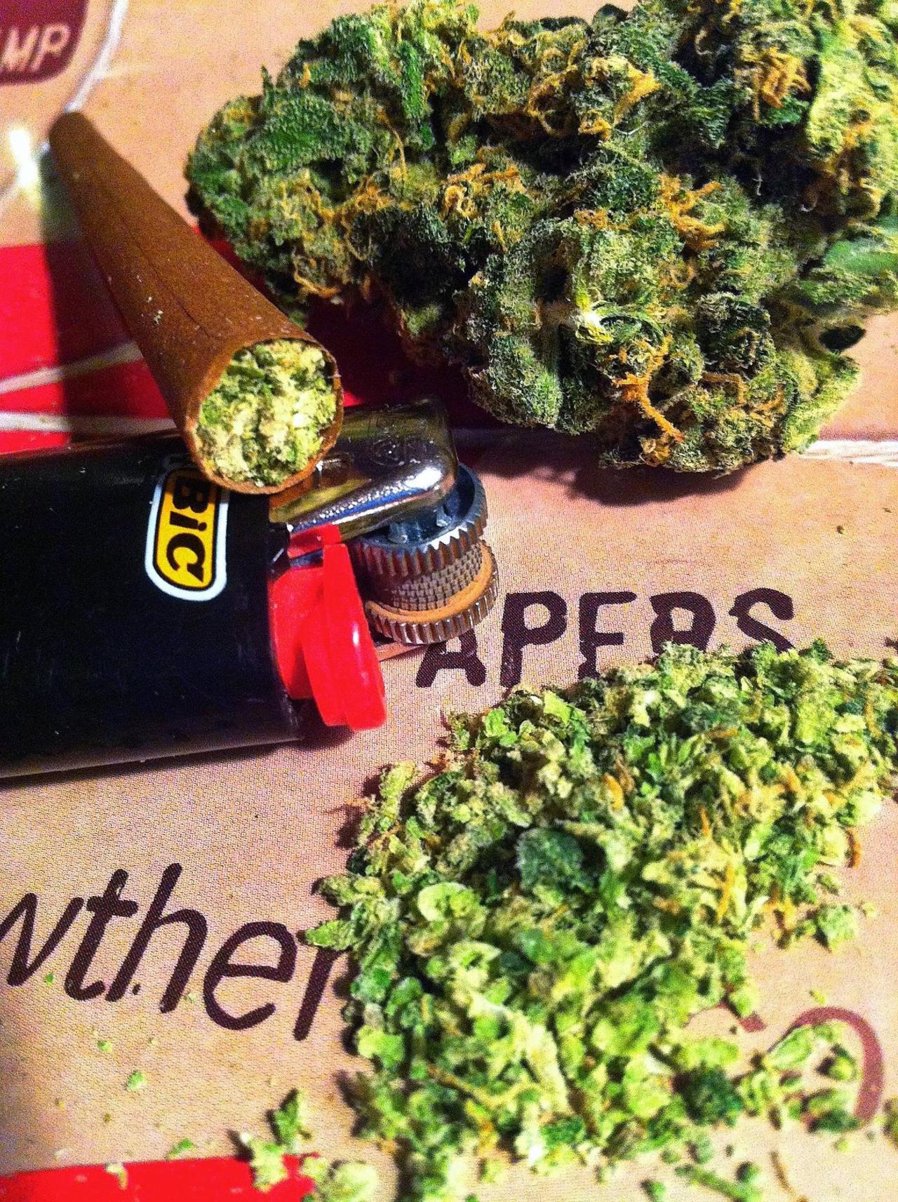 cannaweed420:  Discover how to grow your pot here