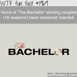 wtf-fun-factss:  “The Bachelor”