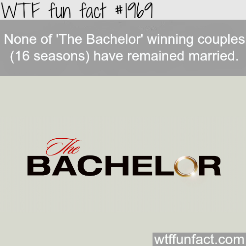 wtf-fun-factss:  “The Bachelor” porn pictures