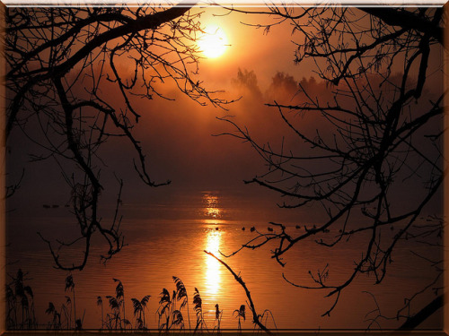 Evening sun at the lake by Ostseeleuchte on Flickr.