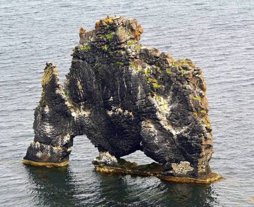 Hvitserkur rock, Iceland