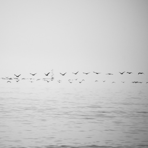 nothingtochance: B A Ł T Y K Photography / Zoltan Bekefy