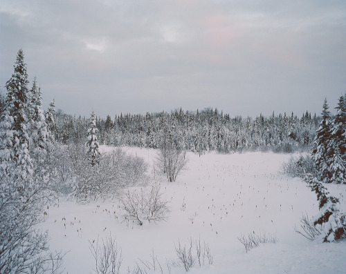 Winter landscape, 2013, near Tremblant