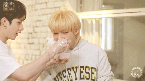 I Love Him...and Him// Skz! Aussie Boys Imagine Chubby Reader Warning! Me Trying To Write Works In A