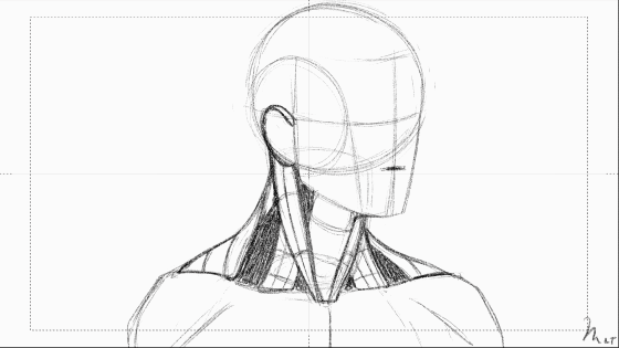 kevinator201:marianarira:All the torso animated studies.This is just fascinating
