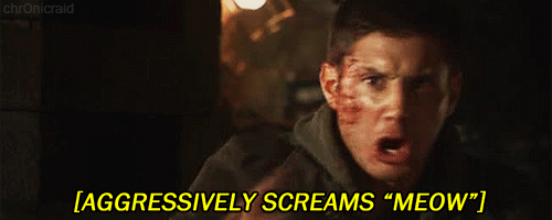10 reasons to watch Supernatural