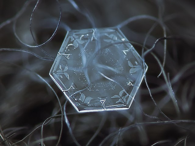  Micro-photography of individual snowflakes by Alexey Kljatov 
