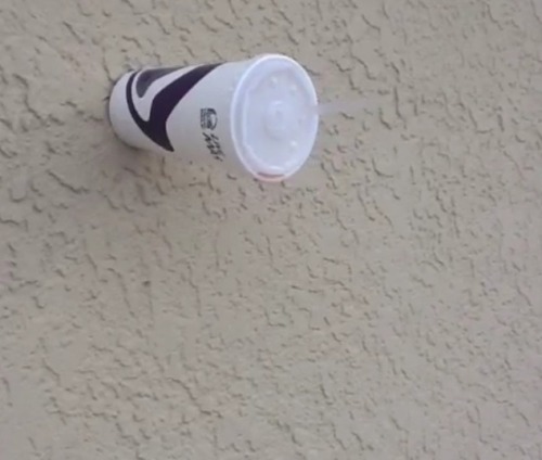 fraxtil:  Why is there a cup attached to the wall of this Taco Bell 