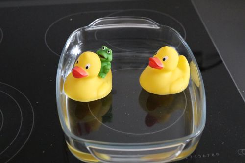 handwerkstatt:@naturelvr-69 The two ducklings and the little frog are having fun in my kitchen (beca