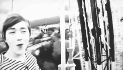 dreamland