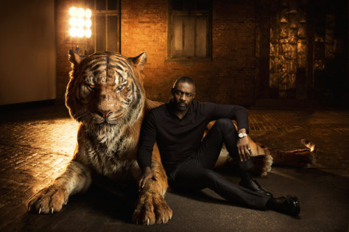 buzzfeeduk:  The Cast Of “The Jungle Book” Posed With Their On-Screen Animals 