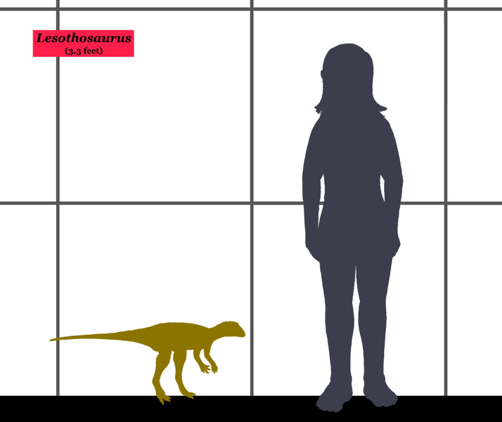 jtotheizzoe:  Dinosaurs vs. People Just stumbled upon a fantastic gallery on WIkipedia