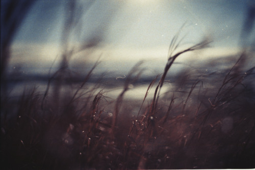 foxmouth:  Landscapes, 2014 | by Julian Bialowas