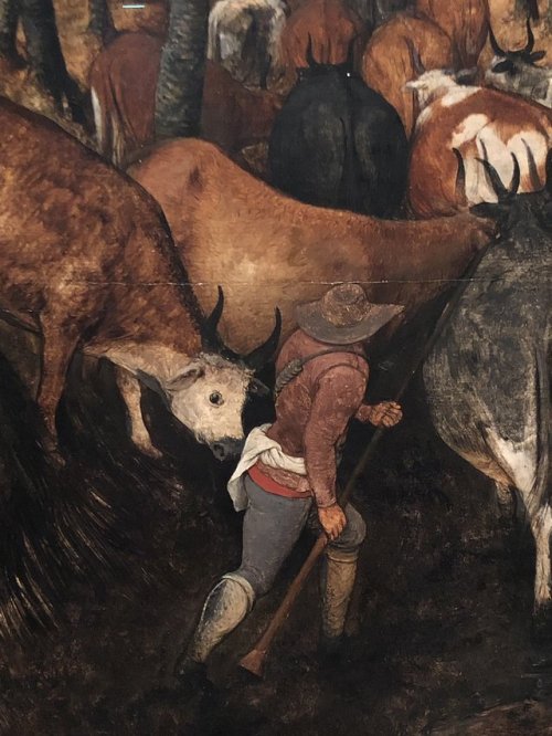 XXX scandireader:Bruegel, “The Return of the photo