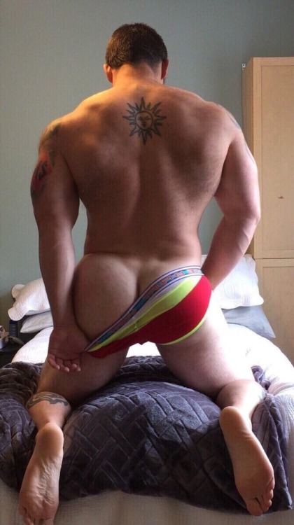 asskingz:  Follow @asskingz for the best daily ass!