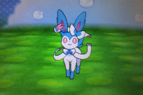 inscendo:  inscendo:  I’m giving away TWO shiny Sylveons because I have three and I’m only wanting t