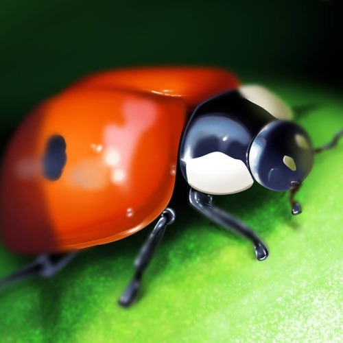 Ladybird digital painting. I included my old version too, 2016 vs. 2011. Can&rsquo;t believe the