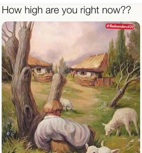 melonmemes:  Probably a little too high…
