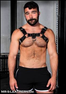 This, boys, is Brian in a harness and short