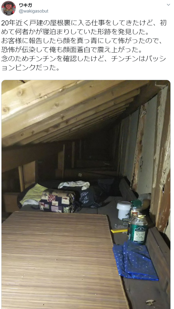 ymyura:ワキガさんはTwitterを使っています: 「20年近く戸建の屋根裏に入る仕事をしてきたけど、初めて何者かが寝泊まりしていた形跡を発見した。