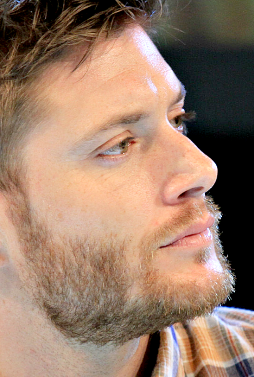 deanjackles: Jensen Ackles | JIBCon 2013 (x)