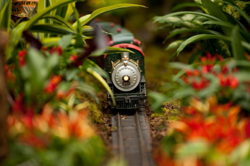 keepingitneutral:The New York Botanical Garden’s Enchanting 2018 Holiday Train Show!