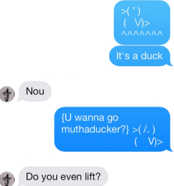 In case you were wondering what I get up to when I&rsquo;m not on Tumblr, today I harassed my siblings via text with a stupid ASCII duck