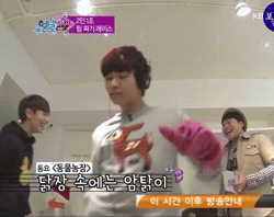 the k-pop fanboy