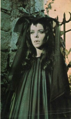 madness-and-gods:Patty Shepard, in “La Noche de Walpurgis” (1971) or “The Werewolf Vs. The Vampire Woman”.