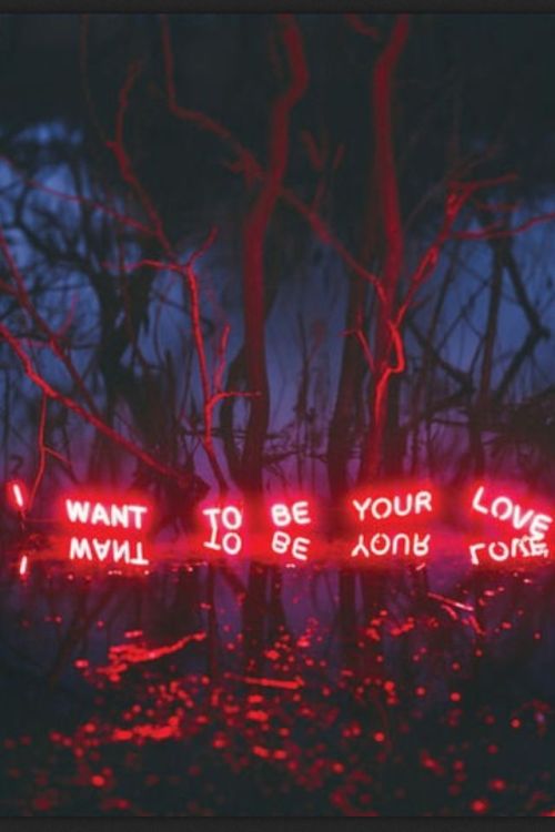 gypsystripper:  Neon Forest!