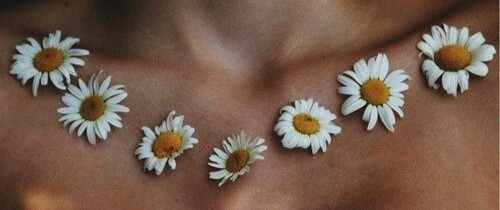 BEAUTY UNDEFINED