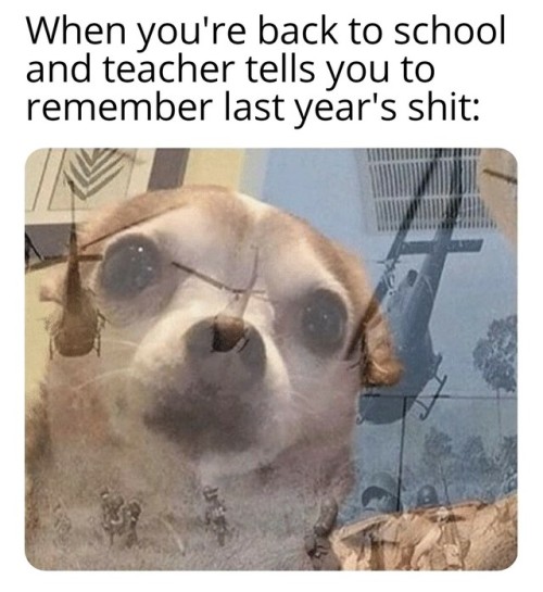 Vietnam flashbacks
