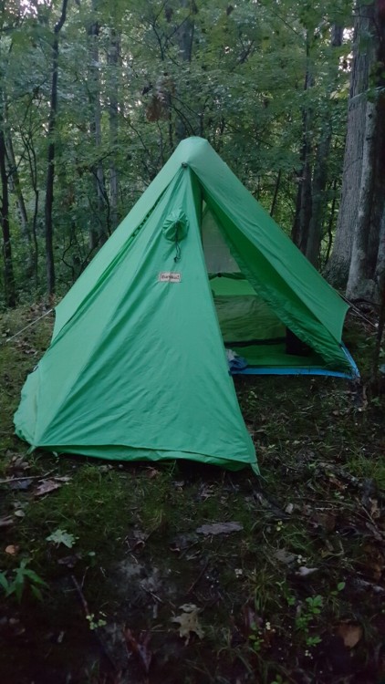 alongthehike: greensarah: Camping with @couldbenewzeitgeist *heart