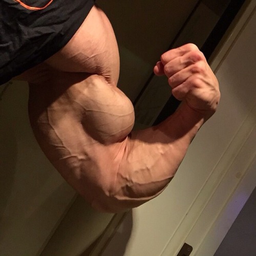intomusclestuff: “Let me give you 20 reasons to spoolge dude, measured in rock hard inches!”