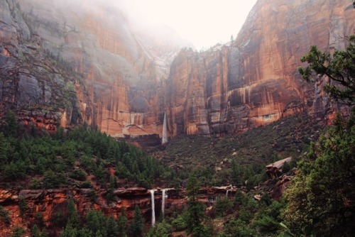 alpenglower:  thank you zion for being a shining light on this rainy day ⛈