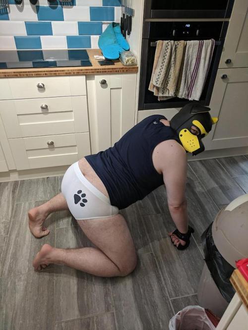 themoodybear: Sexy puppy butt.. the baking adult photos