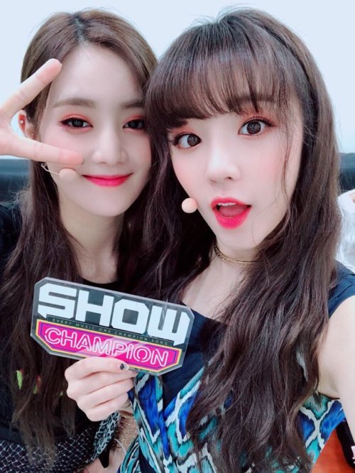 SHOW CHAMPION Twitter Update