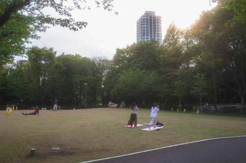  新宿中央公園かつてはちょっとうら寂しい感じの公園でしたが、スタバができたおかげで雰囲気が一変仕事をする人、ワンコのお散歩をする人、ヨガをする人、カメラをもってうろつく人（わたしですが）、う