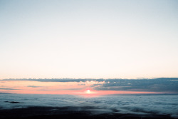 harrisonglazier:  mt tam sunrise on film,