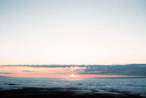 Porn photo harrisonglazier:  mt tam sunrise on film,