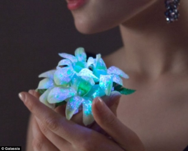 sunandsilicon:
“As of earlier this year bioluminescent flowers are finally commercially available. A small Australian company BIOCONST has produced its first range of commercial fluorescent flowers, which it calls Galassia Flowers.
”