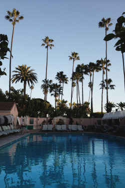 envyavenue:  Beverly Hills Hotel