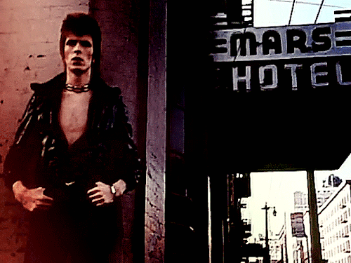bowieinmotion:The Jean Genie (1973)